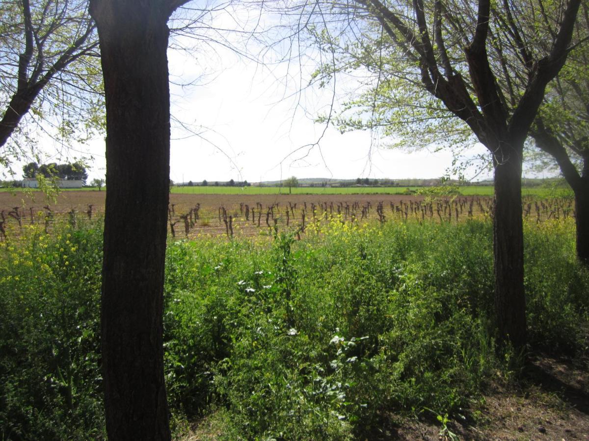 Casa Finca Rural La Huerta อัลมาโกร ภายนอก รูปภาพ
