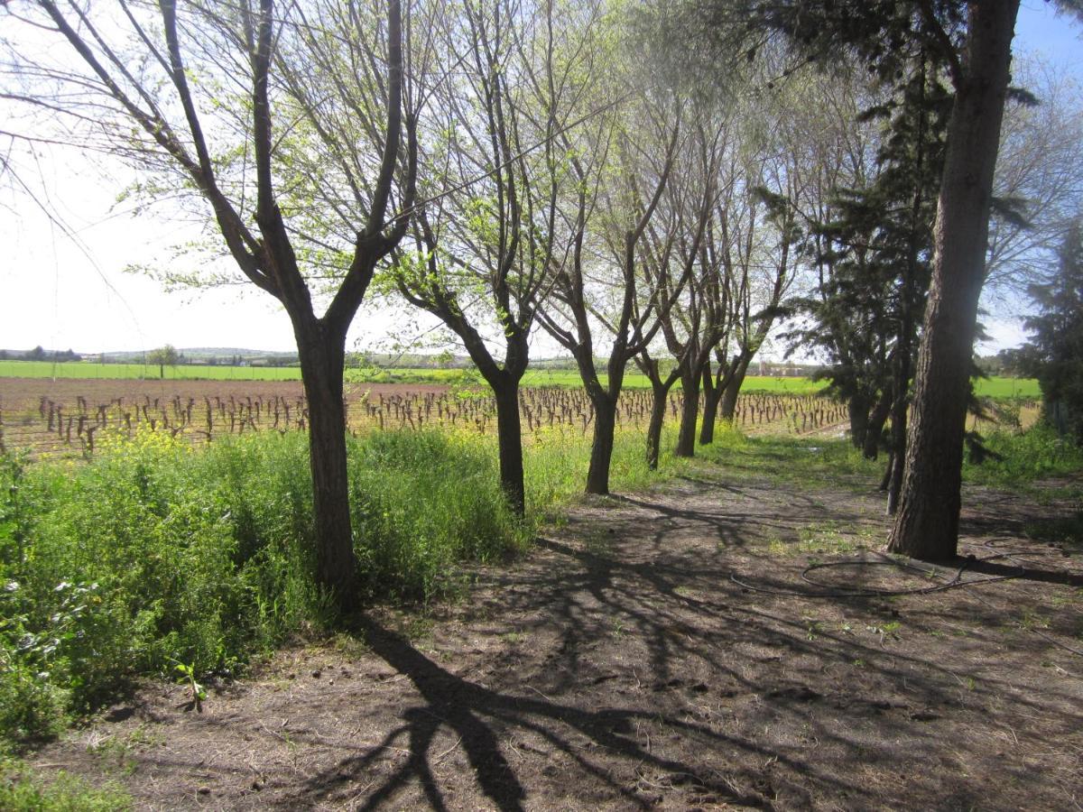 Casa Finca Rural La Huerta อัลมาโกร ภายนอก รูปภาพ